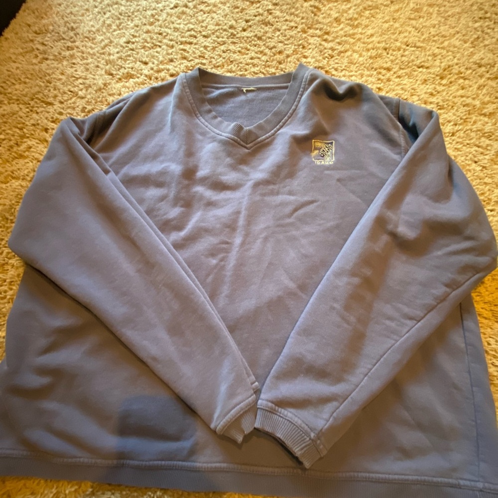 V-Neck Sweatshirt in Dusty Purple